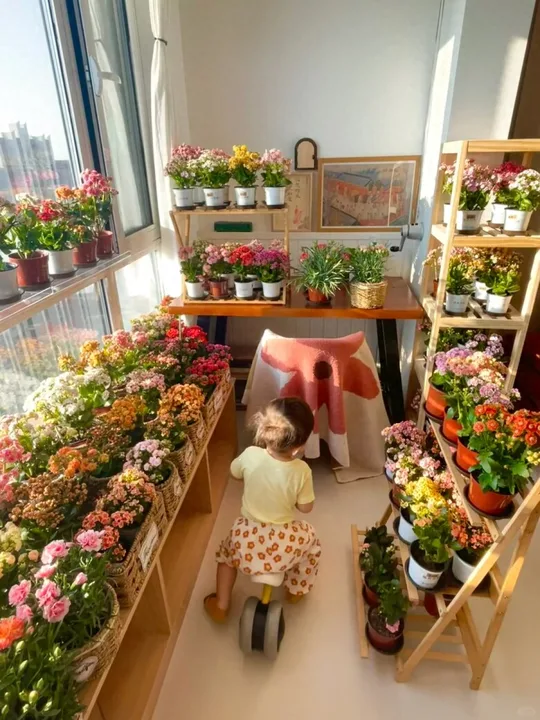 Khu vườn hoa trường sinh rực rỡ của người phụ nữ Cát Lâm